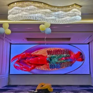 20241207_173332 (1) (1) Built-In Type